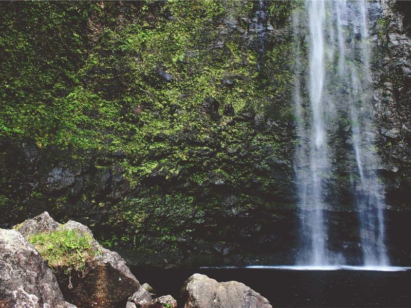 partners screenshot 1